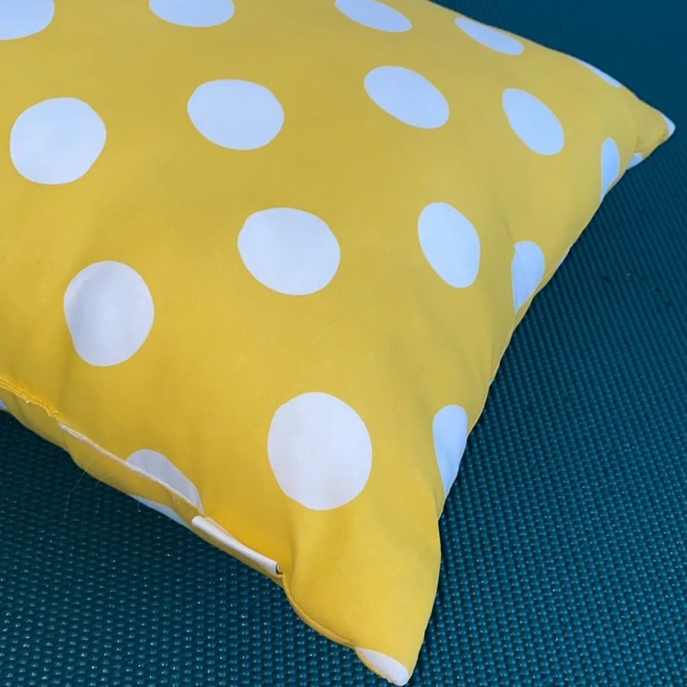 Pier 1 Imports Polka Dots Decorative Throw‎ Pillow 16